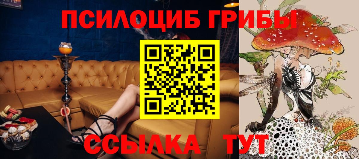 Галлюциногенные грибы Cubensis Ирбит