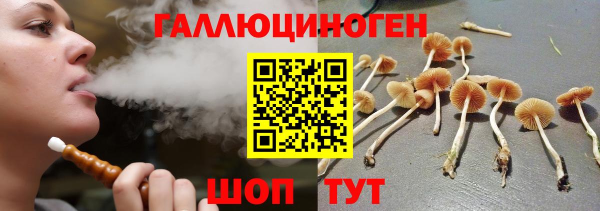 Галлюциногенные грибы мухоморы  Вход с VPN  Псилоцибиновые грибы Cubensis  Ирбит 